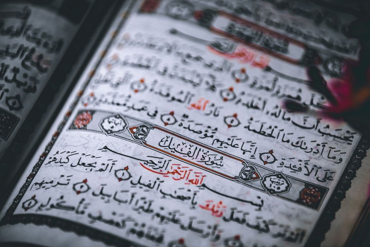 Arabic Language Course online course